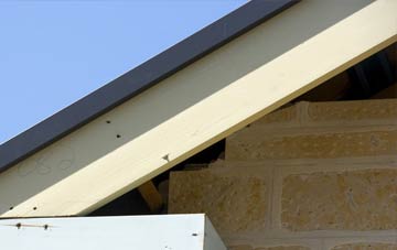 Horsey Down fascia repairs