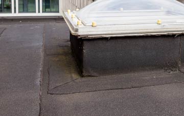 disadvantages of Horsey Down flat roofs