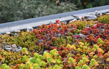the cost of Horsey Down green roof installation