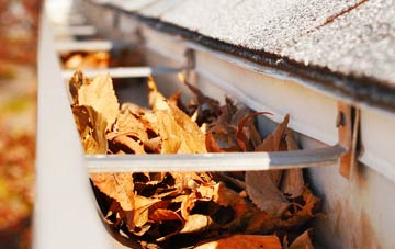 Horsey Down gutter cleaning companies