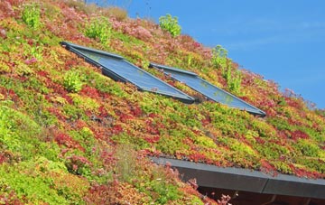 Horsey Down living roof systems