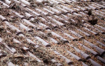 Horsey Down roof cleaning companies