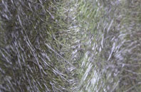 Horsey Down fibreglass roof work