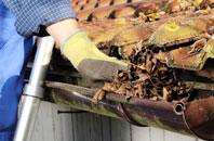 Horsey Down gutter cleaners