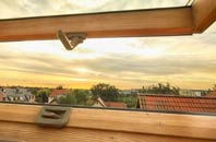 rated Horsey Down roof window companies